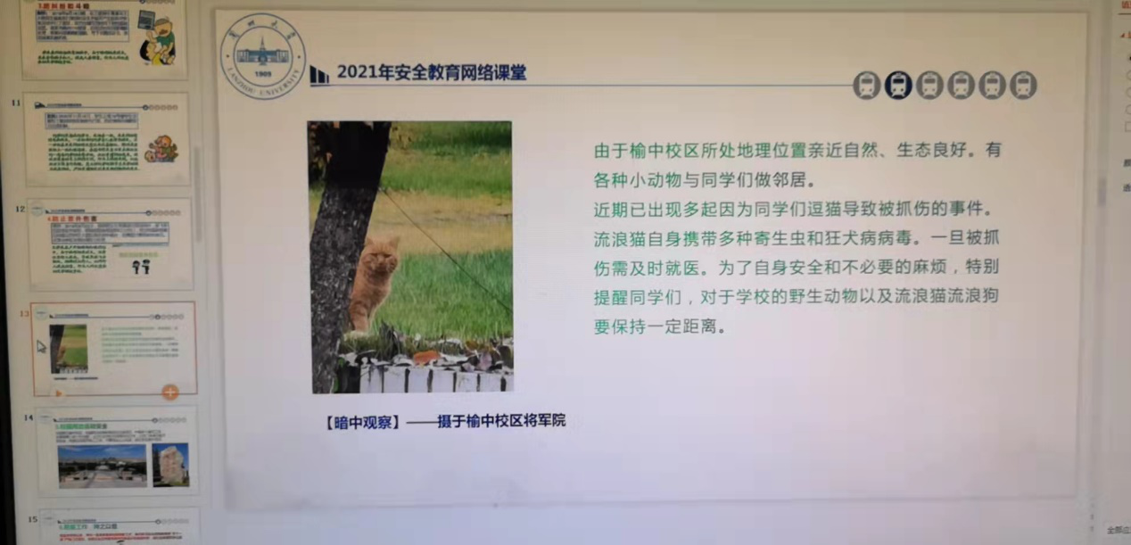 薛峰提醒同学们和流浪猫狗保持安全距离.png